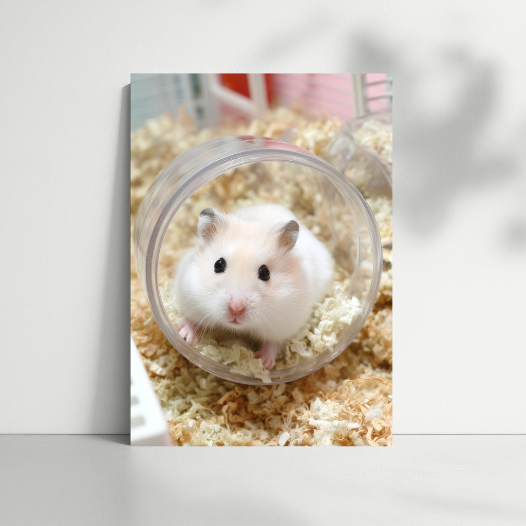 Stylish Hamster in the Pipe: Charm for Your Walls