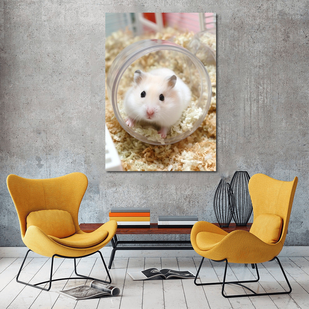 Stylish Hamster in the Pipe: Charm for Your Walls