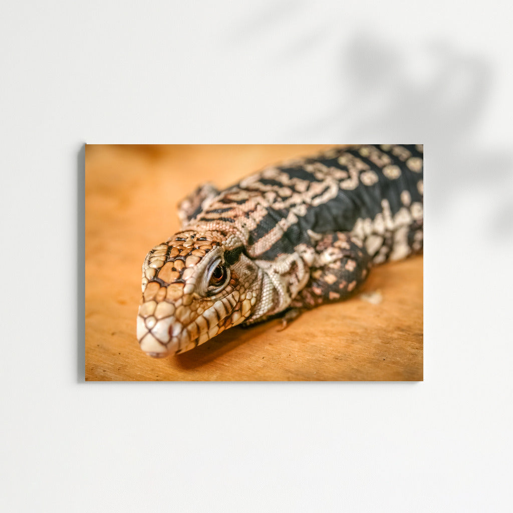 Majestic Dragon: Symbol of Freedom and Adventure