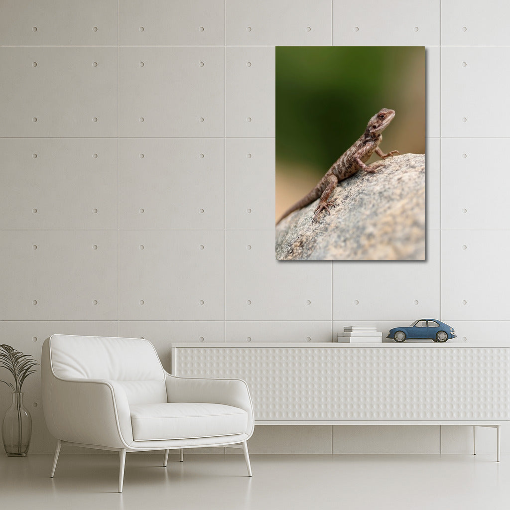 Bright agama on a stone: a picturesque accent for your interior