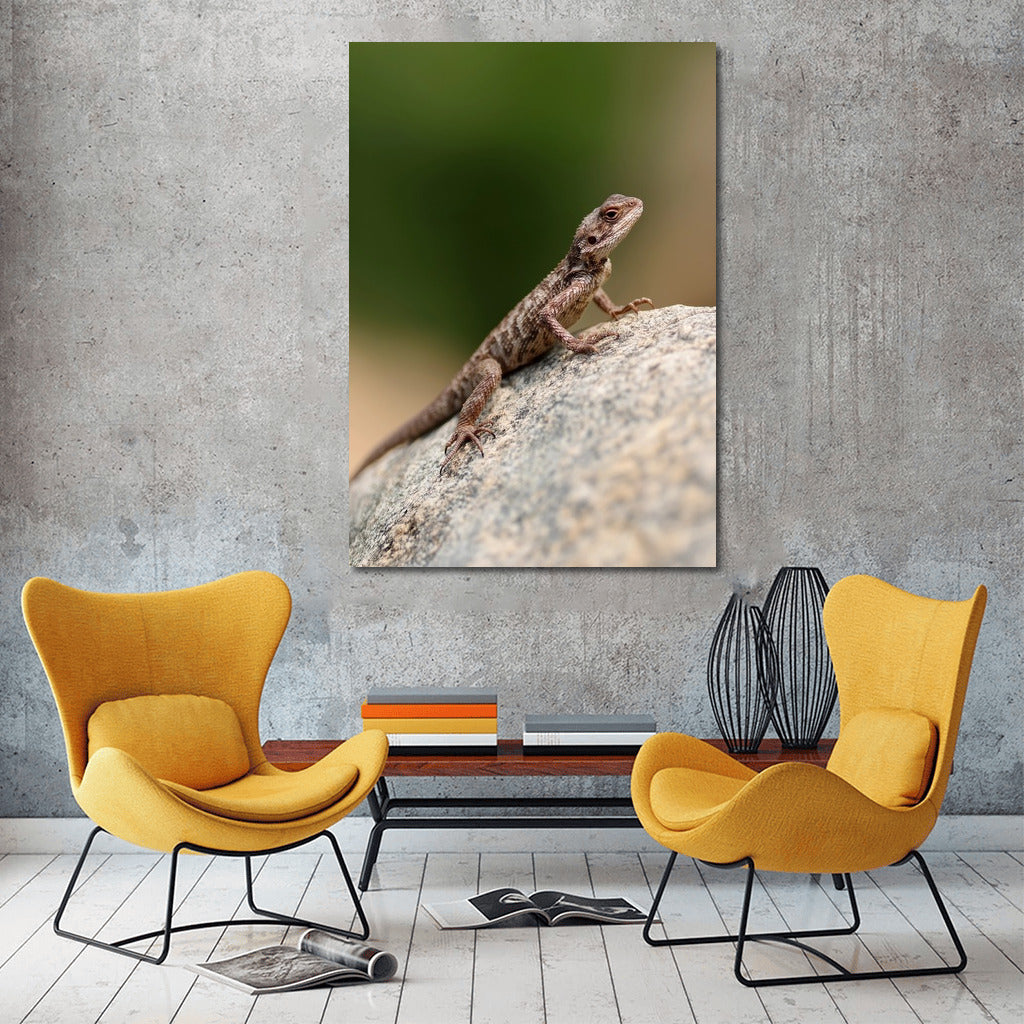 Bright agama on a stone: a picturesque accent for your interior