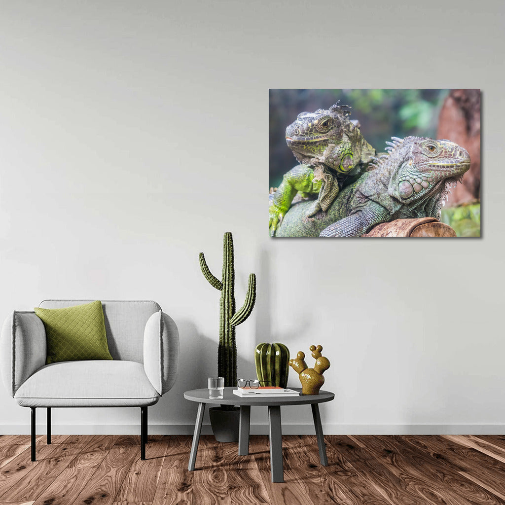 Tropical Iguanas: Green Dragons in the Wild