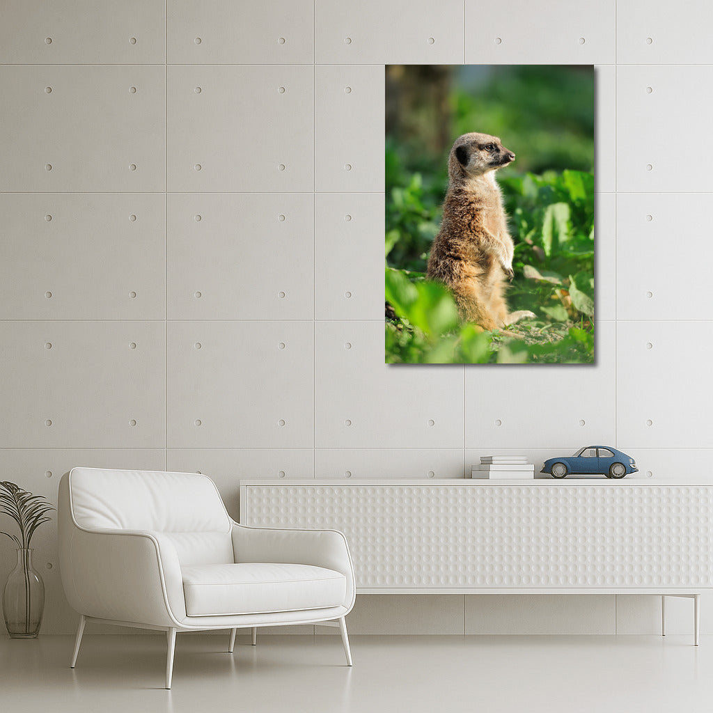 Meerkat in Emerald Green: Picturesque Wall Art