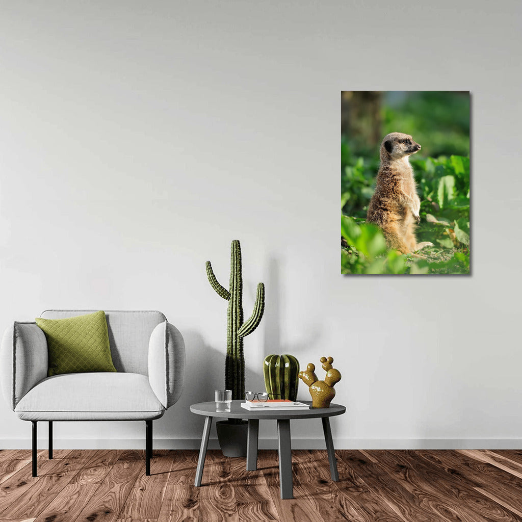 Meerkat in Emerald Green: Picturesque Wall Art