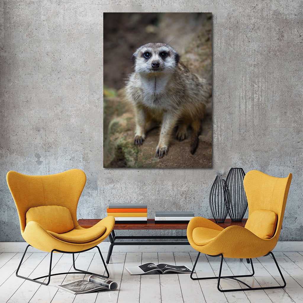 Adorable Meerkat: Playful Savannah Spirit for Your Interior