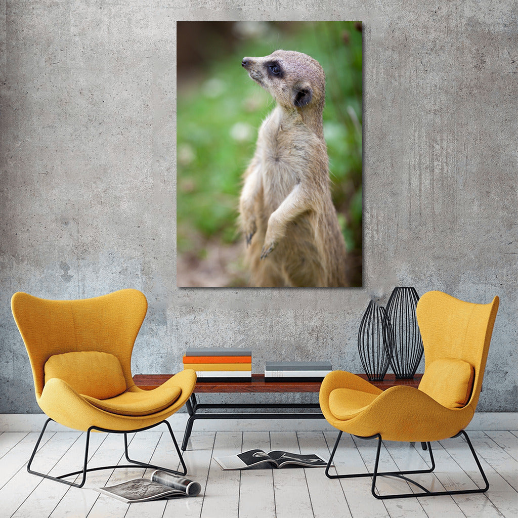 Curious Meerkat: The Charm of Wildlife on Your Wall