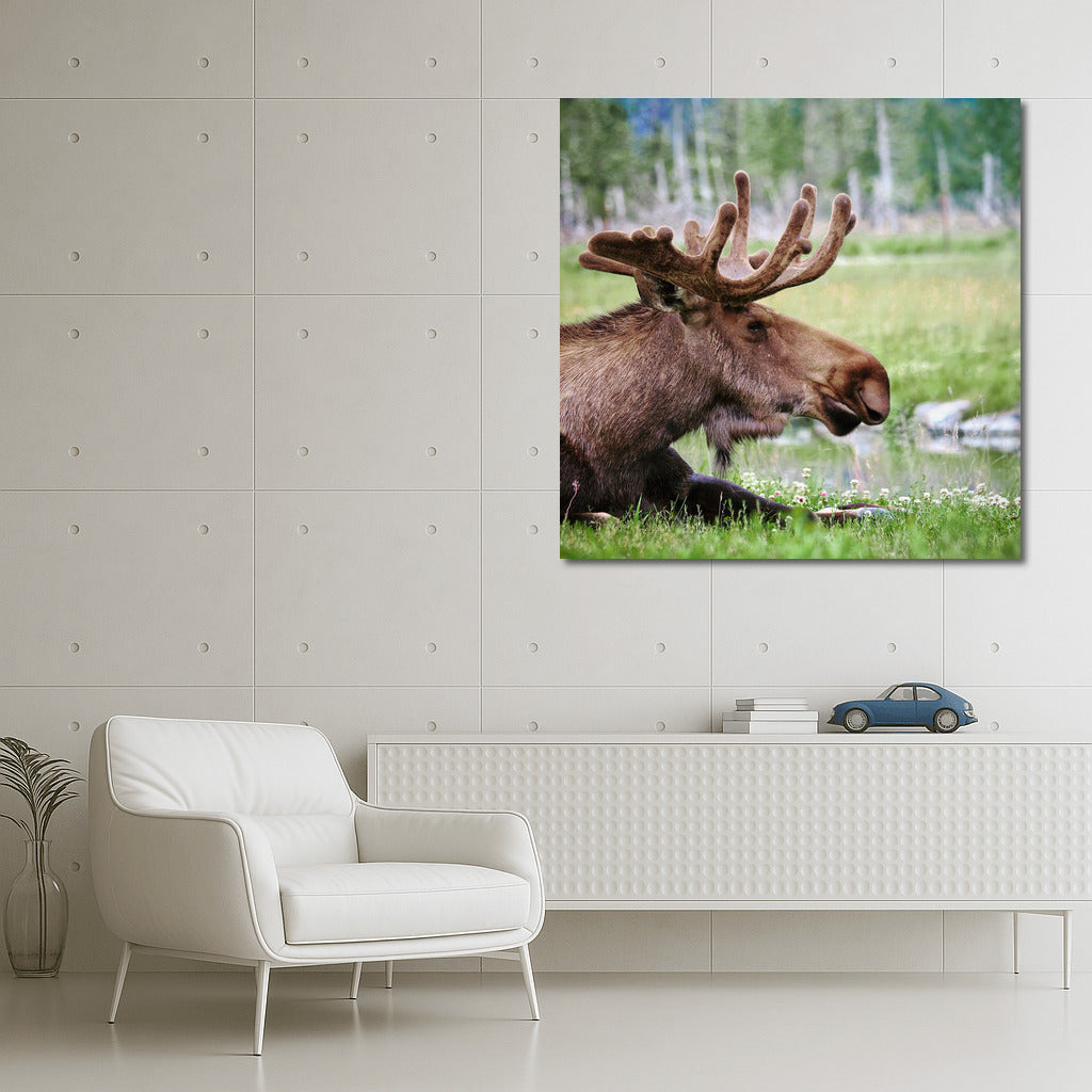 Forest Elk: Harmony of Nature in the Interior