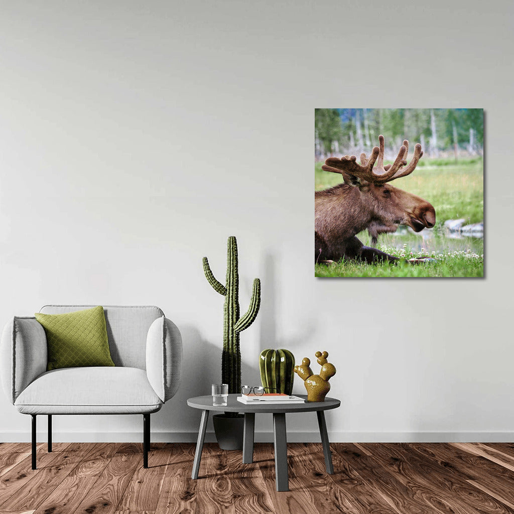 Forest Elk: Harmony of Nature in the Interior