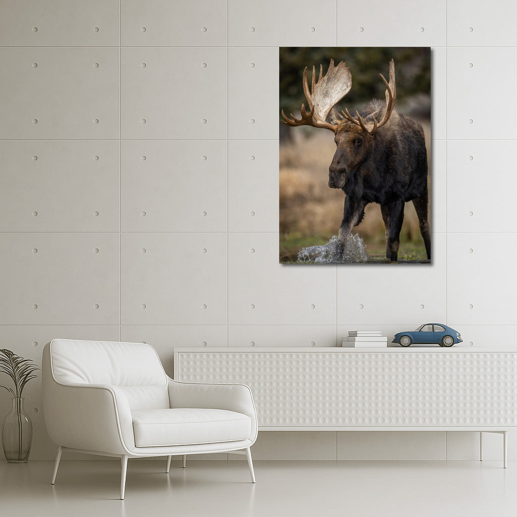 Majestic Elk: Natural Power in Your Interior
