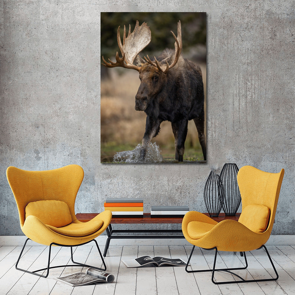 Majestic Elk: Natural Power in Your Interior
