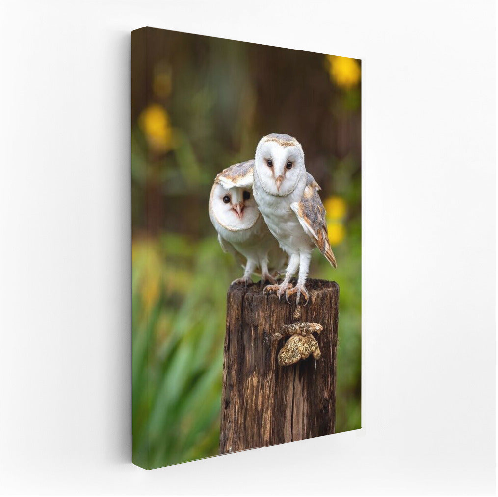 Mystical Owls: Forest Guardians for Your Interior