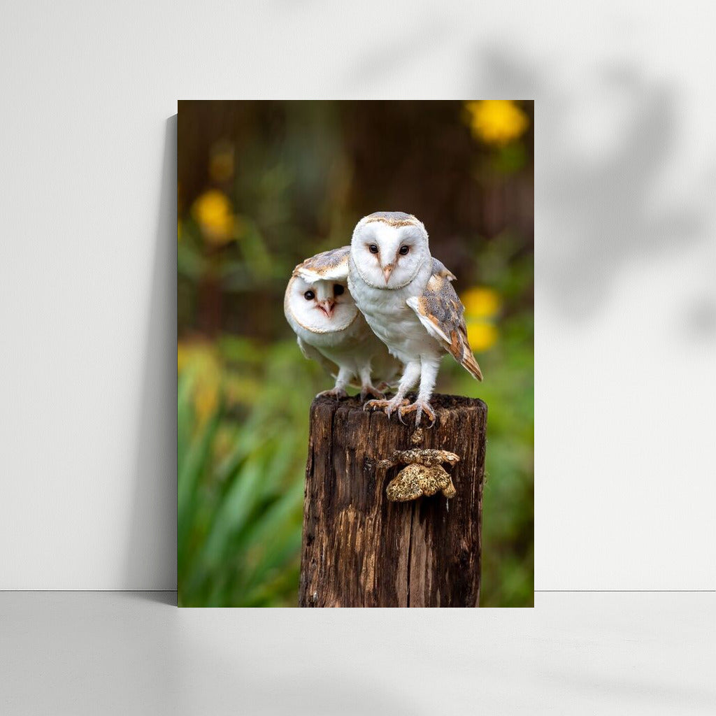 Mystical Owls: Forest Guardians for Your Interior