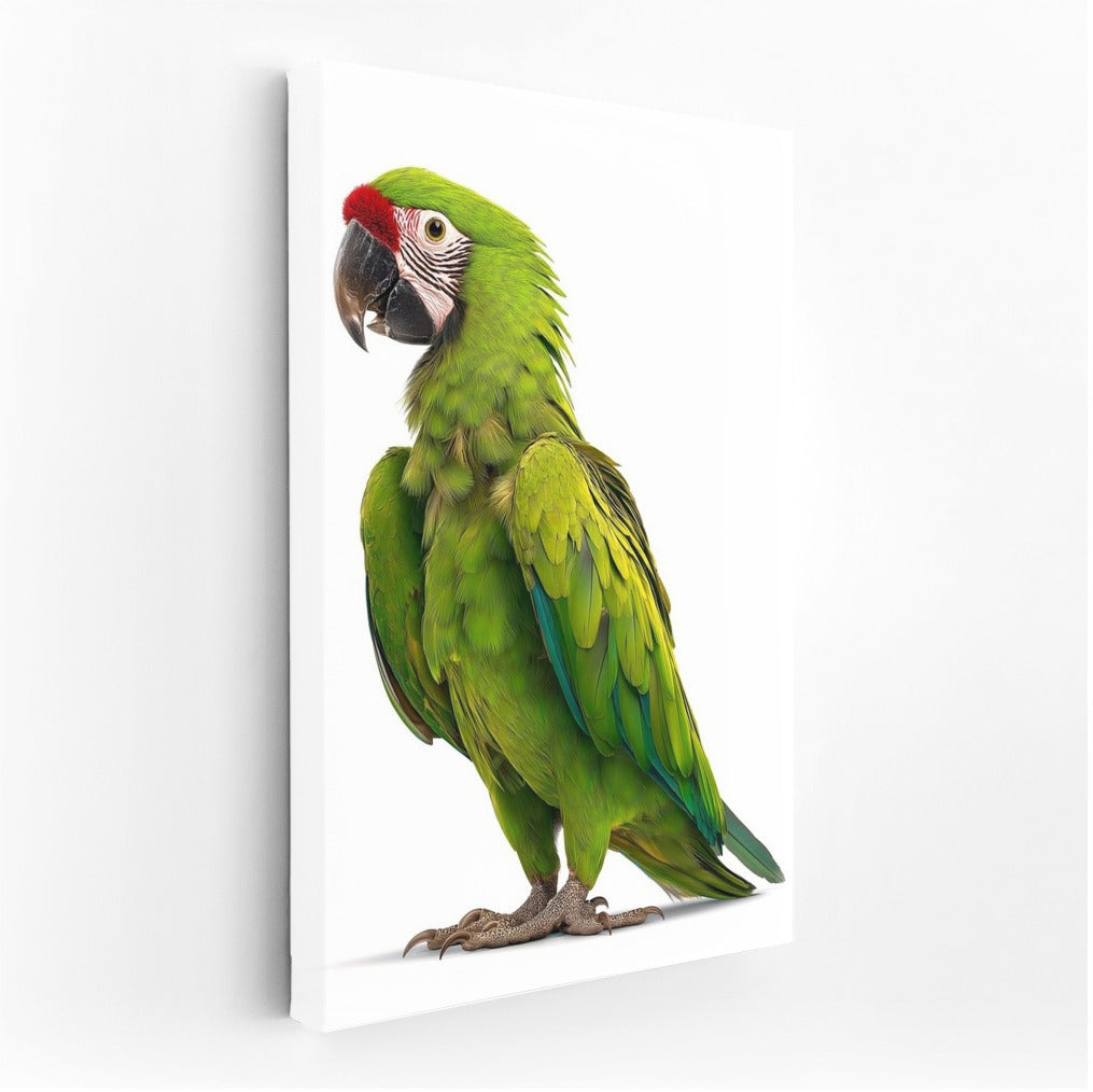 Tropical Green Macaw: Jungle Energy for Your Interior
