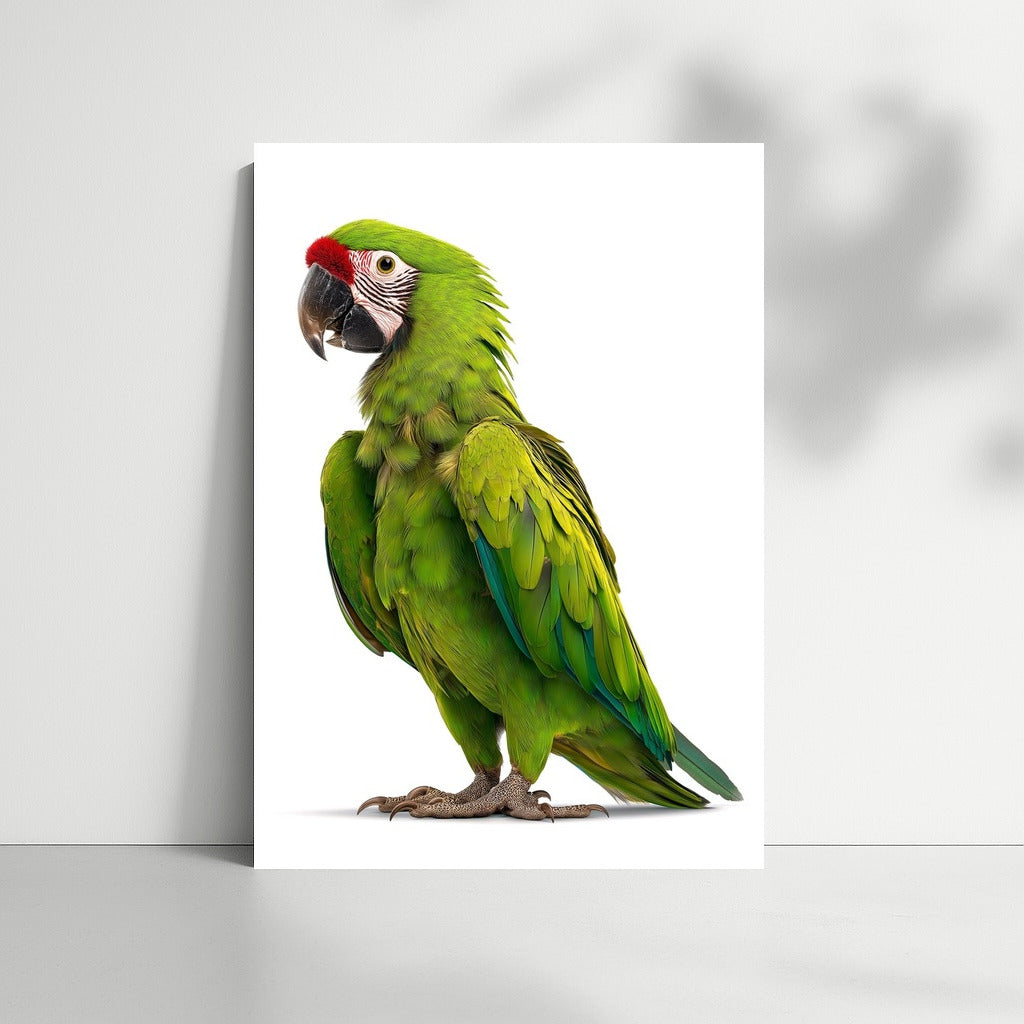 Tropical Green Macaw: Jungle Energy for Your Interior