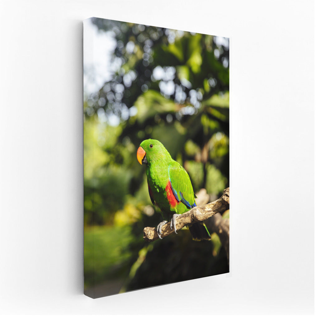 Tropical Macaw: An Explosion of Colors and Energy for Your Interior