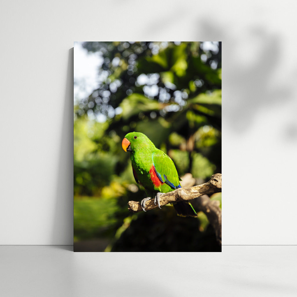 Tropical Macaw: An Explosion of Colors and Energy for Your Interior