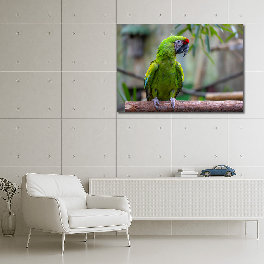 Tropical Macaw Parrot: Bright Exotic Colors for the Interior