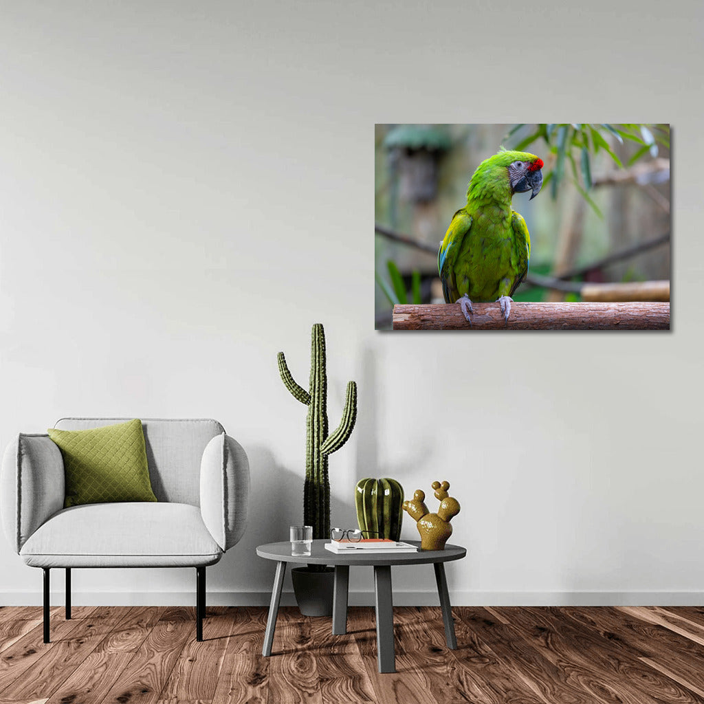 Tropical Macaw Parrot: Bright Exotic Colors for the Interior