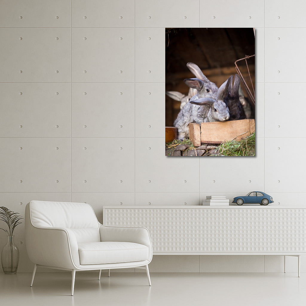 Long-eared Rabbits: Warmth and Fun for Your Home