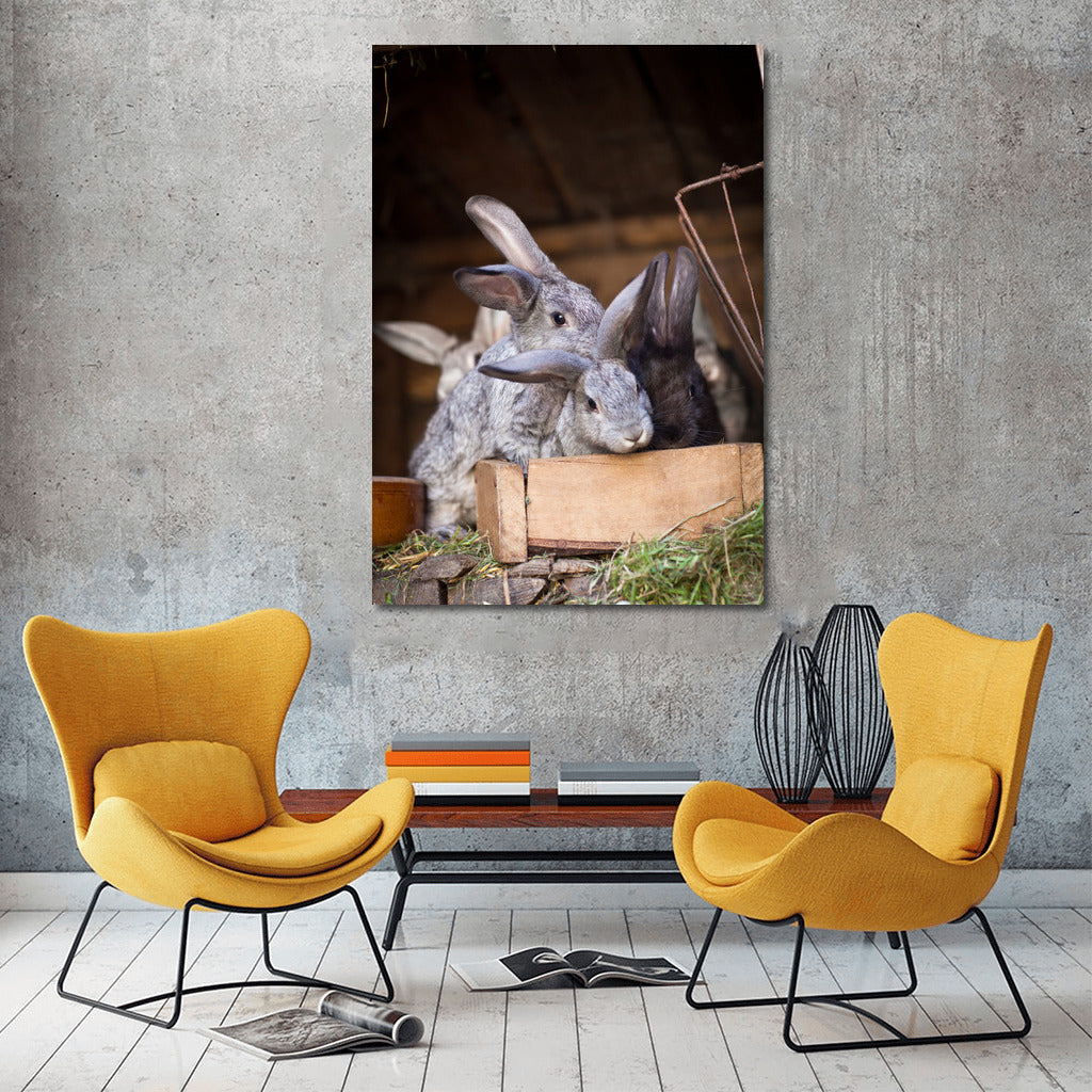 Long-eared Rabbits: Warmth and Fun for Your Home