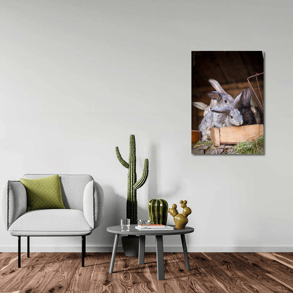 Long-eared Rabbits: Warmth and Fun for Your Home