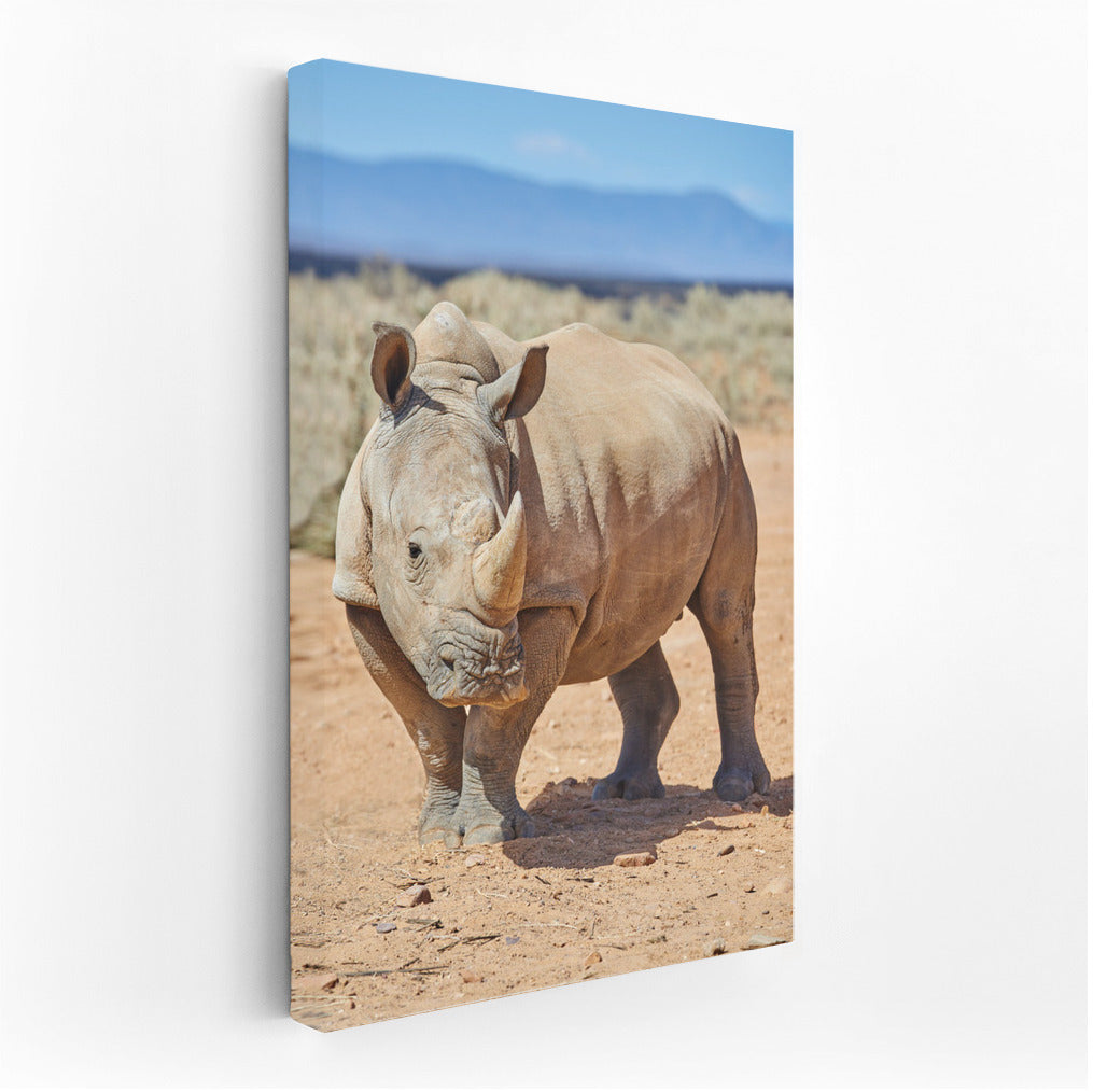 Rhino: Embodiment of Strength and Toughness