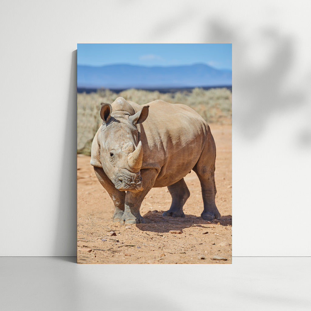 Rhino: Embodiment of Strength and Toughness