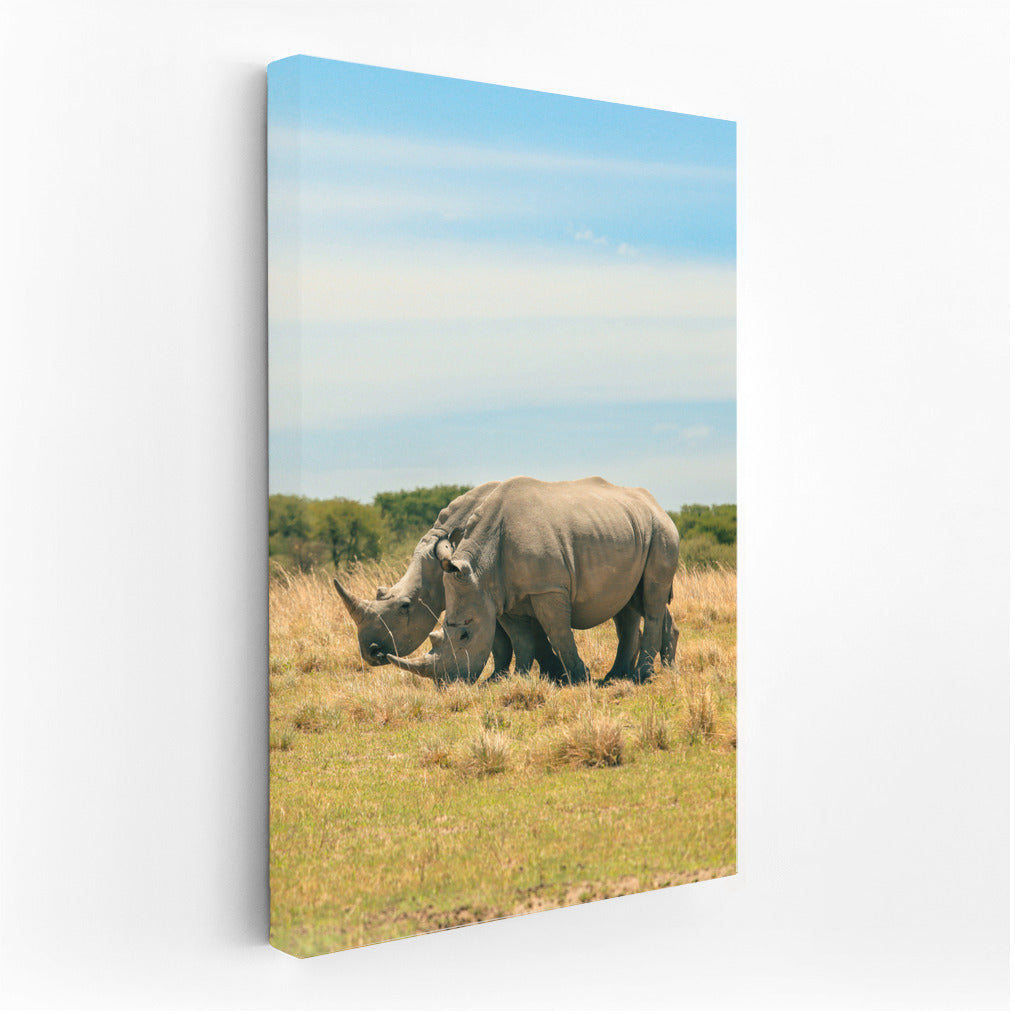 Royal Rhinos: African Power in the Interior