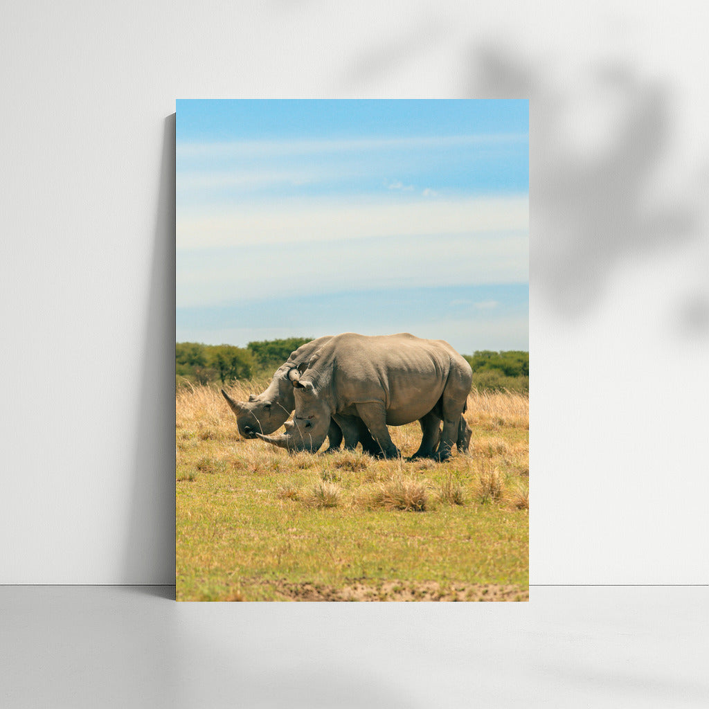 Royal Rhinos: African Power in the Interior