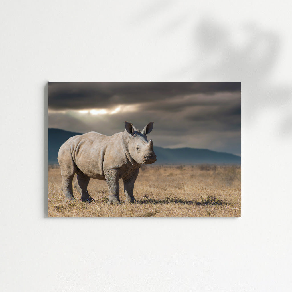 Rhinoceros View: Savannah Energy for Interiors
