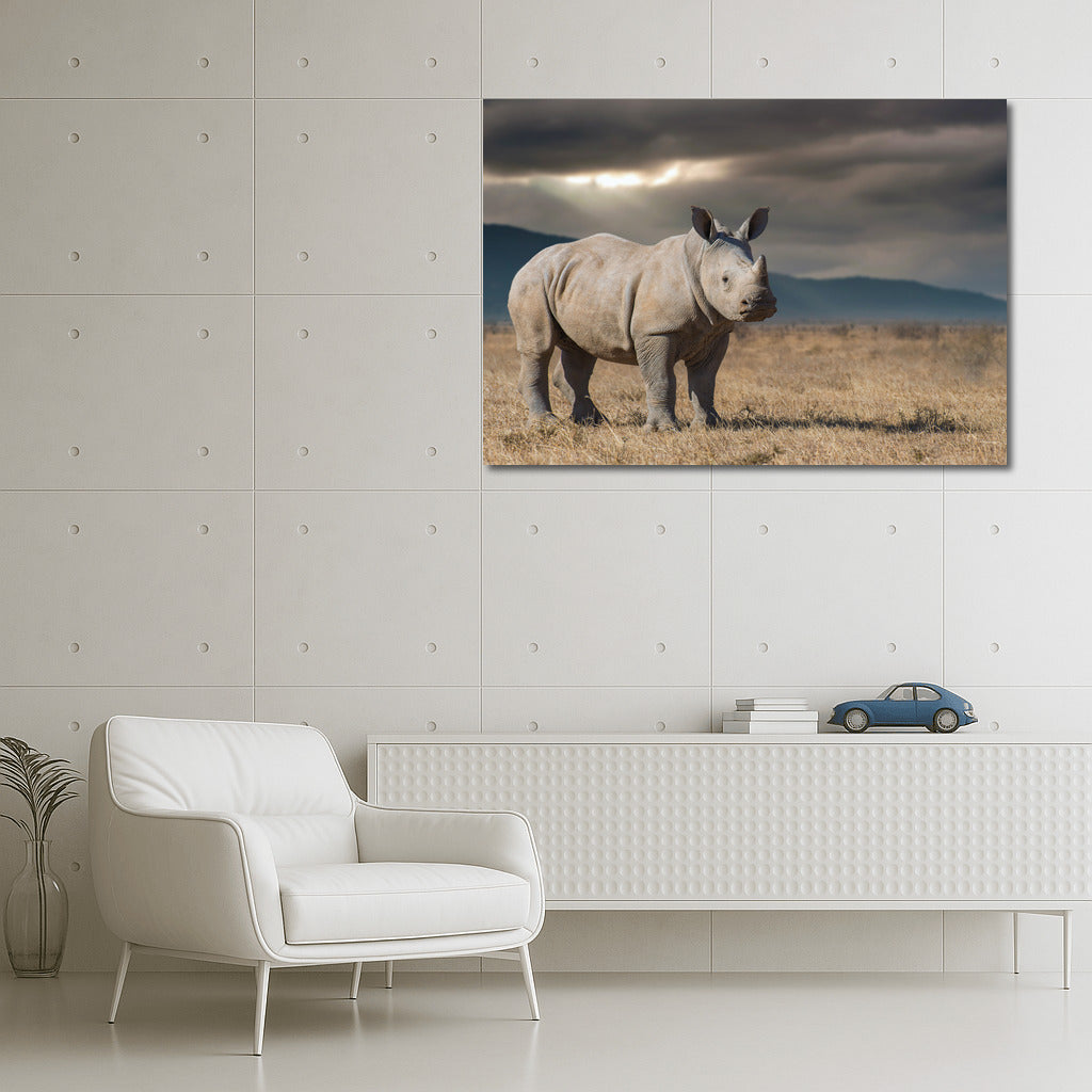 Rhinoceros View: Savannah Energy for Interiors