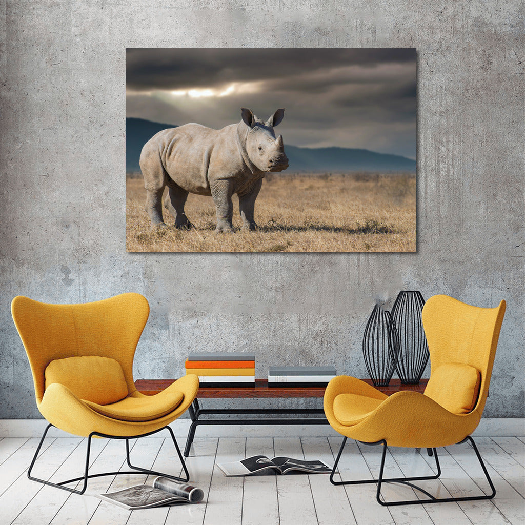 Rhinoceros View: Savannah Energy for Interiors