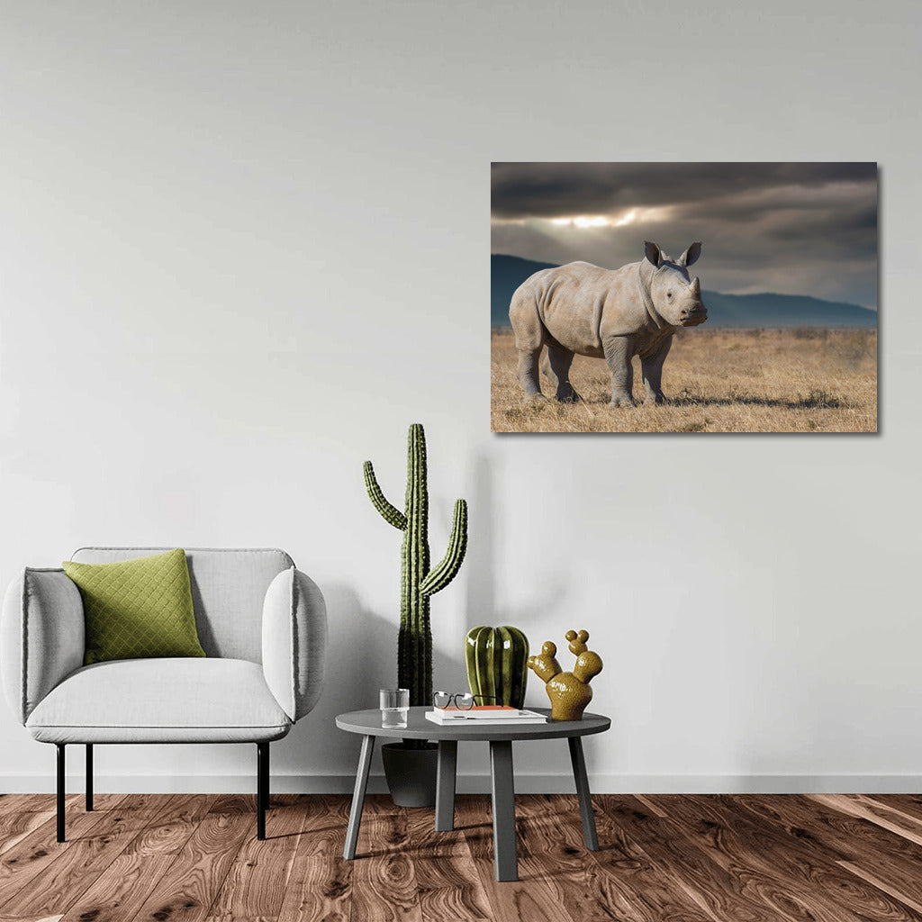 Rhinoceros View: Savannah Energy for Interiors