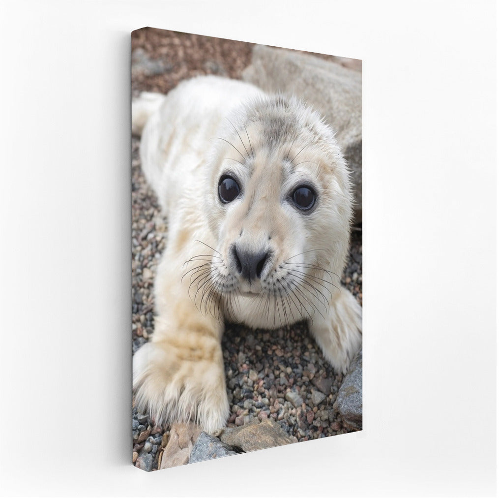 Sea Tenderness: Charming Seal for the Comfort of Your Home