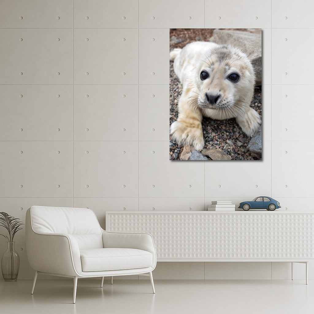 Sea Tenderness: Charming Seal for the Comfort of Your Home