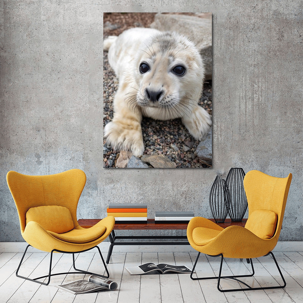 Sea Tenderness: Charming Seal for the Comfort of Your Home
