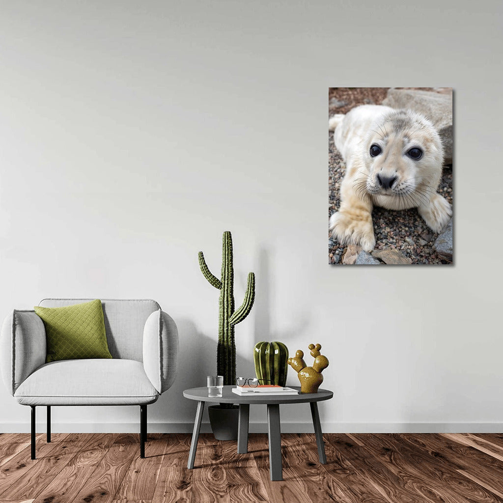 Sea Tenderness: Charming Seal for the Comfort of Your Home
