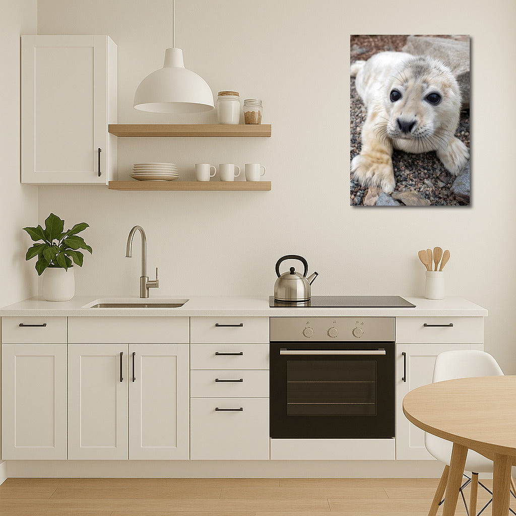 Sea Tenderness: Charming Seal for the Comfort of Your Home