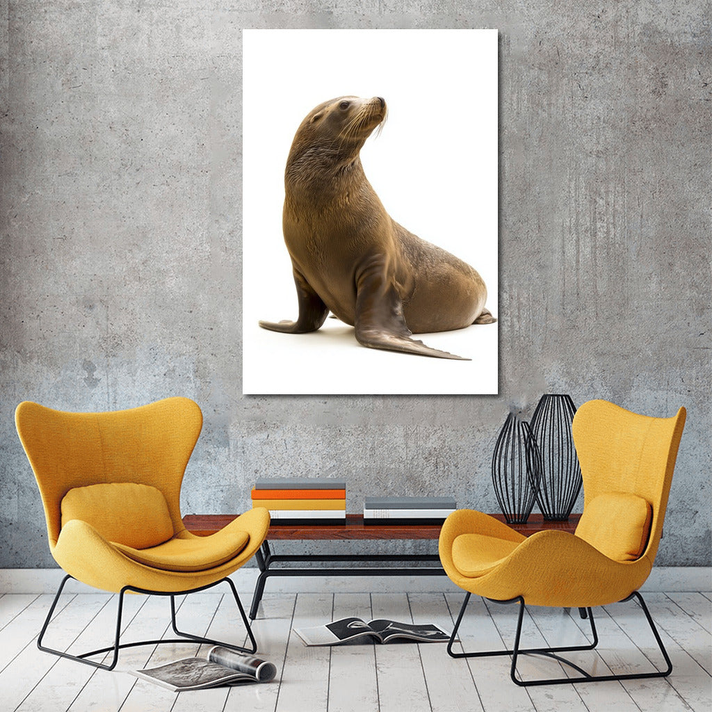Sea Lion: A Whirlwind of Adventure and Freedom