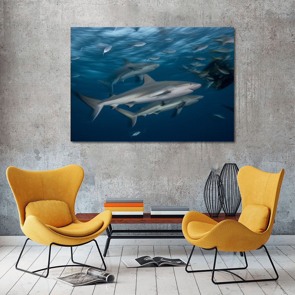 Grace of Sharks: Silent Dance of the Ocean