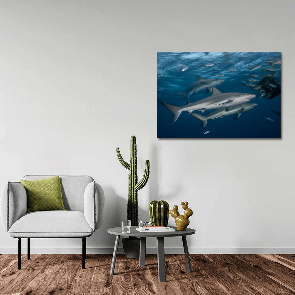 Grace of Sharks: Silent Dance of the Ocean