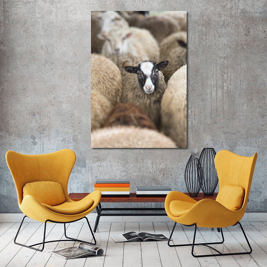 Fluffy Sheep: Comfort and Warmth for Your Home