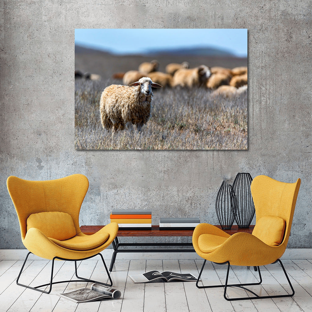 Sheep in the Meadows: Comfort and Warmth for Your Home