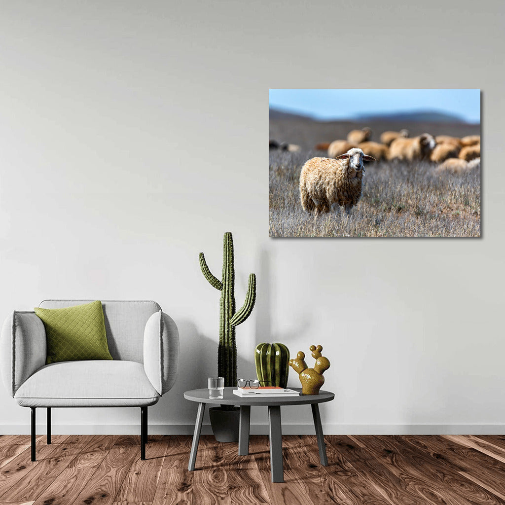 Sheep in the Meadows: Comfort and Warmth for Your Home