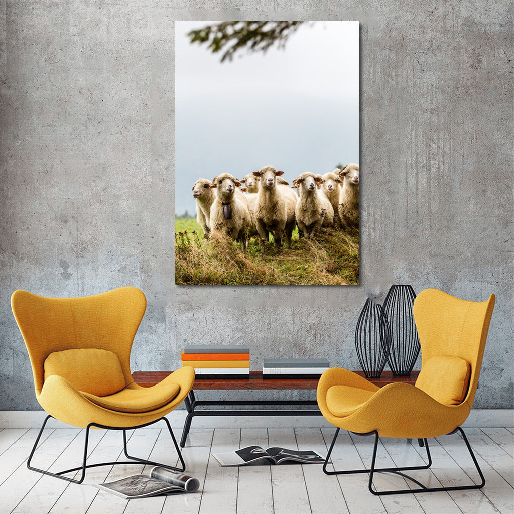 Country Idyll: Sheep in the Interior