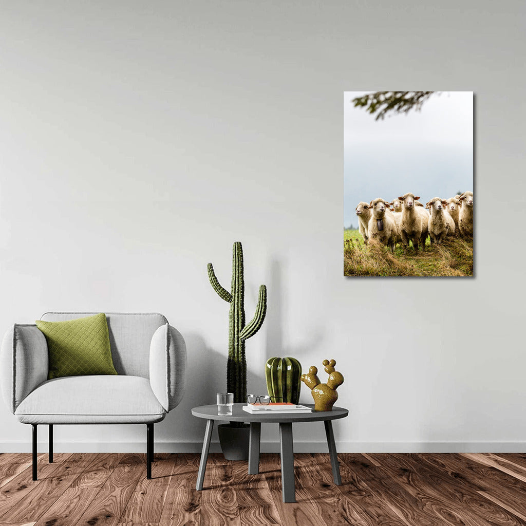 Country Idyll: Sheep in the Interior
