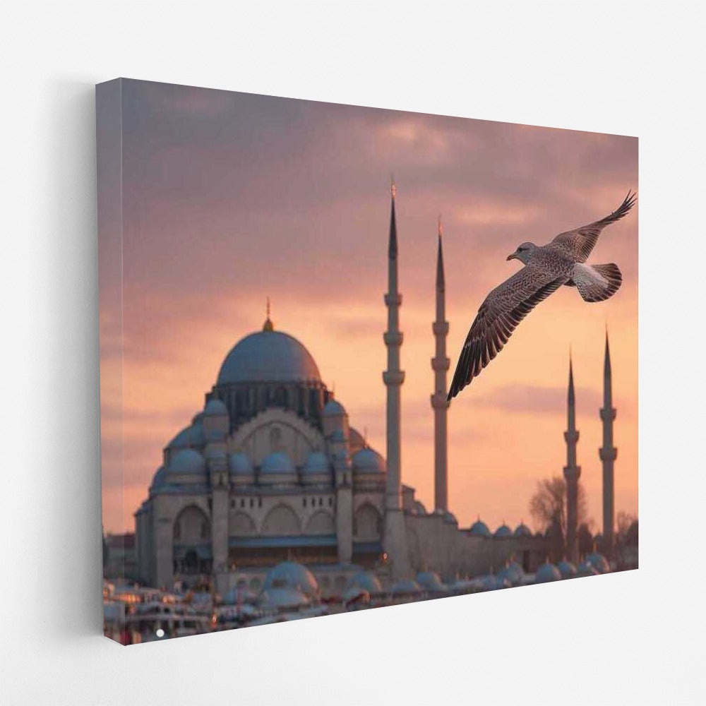 Istanbul Sunset Lights: Skylines and Silhouettes