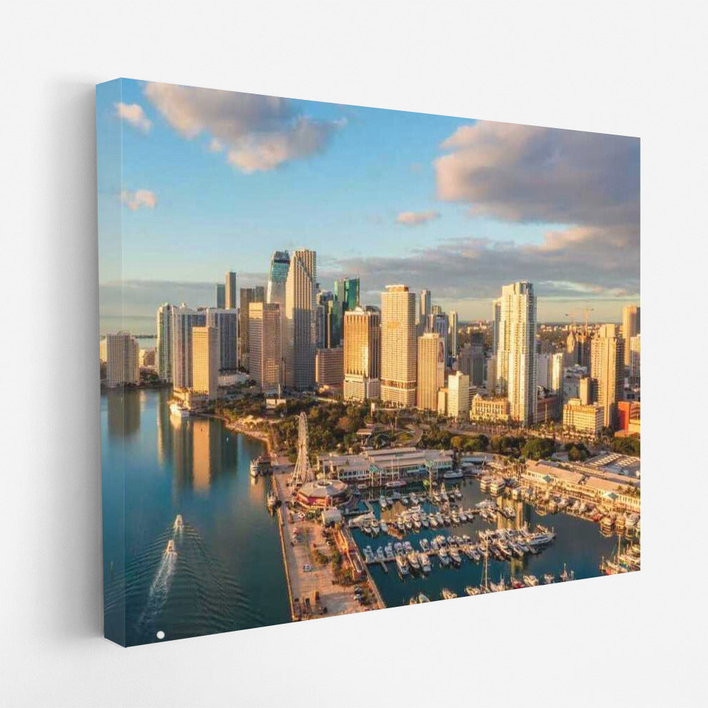 Sunny Cityscape: Miami in the Lights