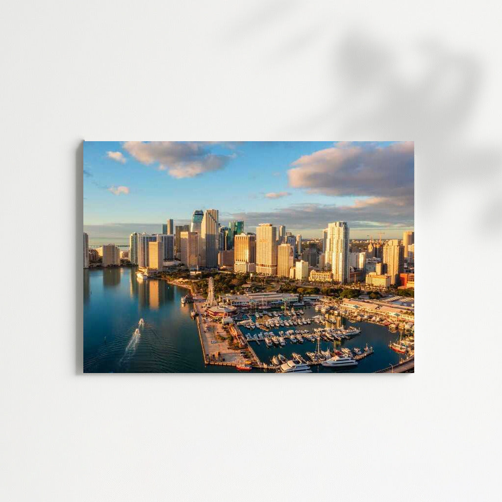 Sunny Cityscape: Miami in the Lights