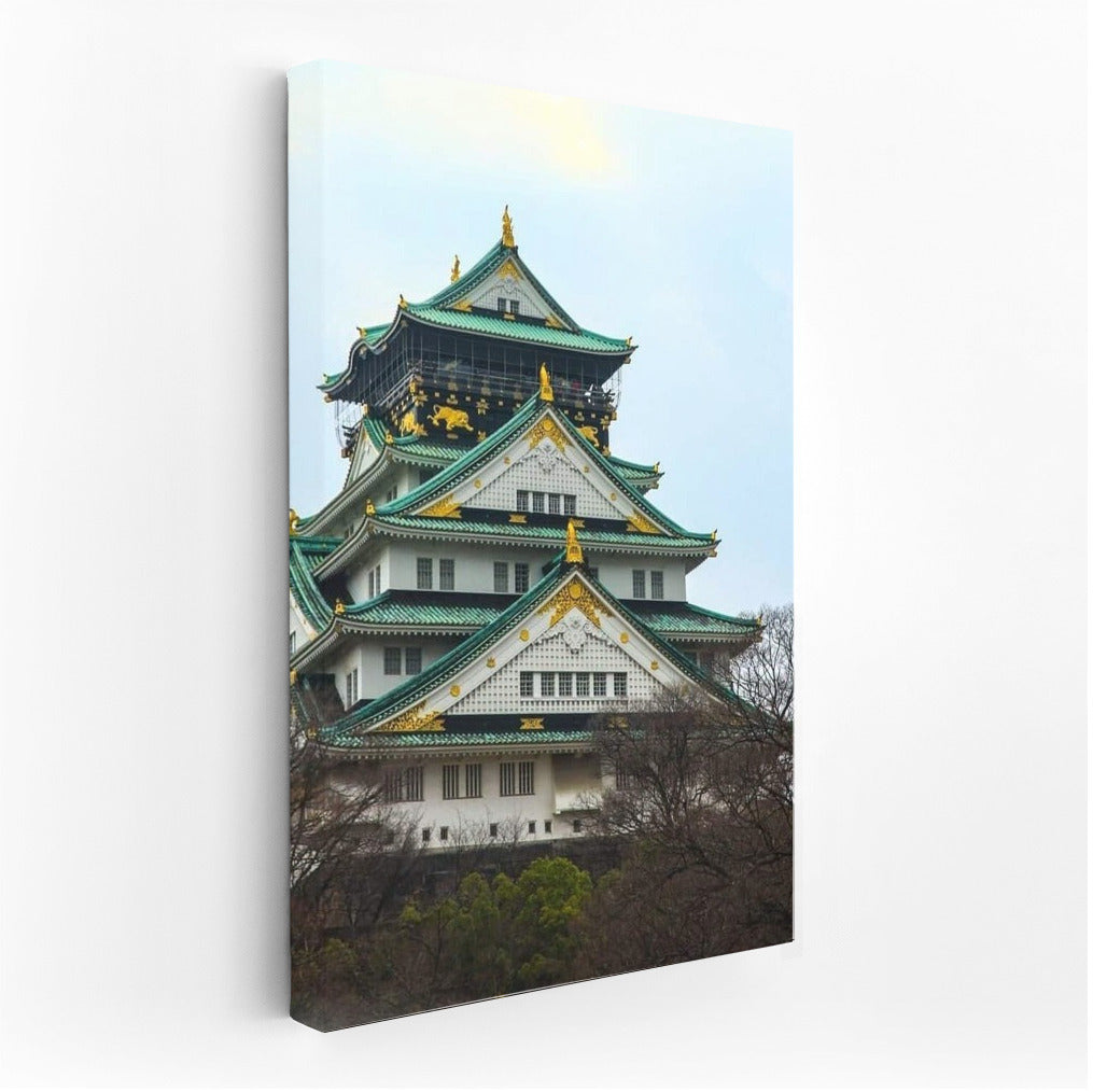 Oriental Charm: Osaka Cityscape